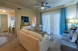 Two Bedroom Apartments for Rent in Conroe, TX - Model Living Room  